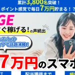 EDGE JAPAN 佐藤智樹 株式会社EDGEの仮想通貨は本当に安定して稼げる?